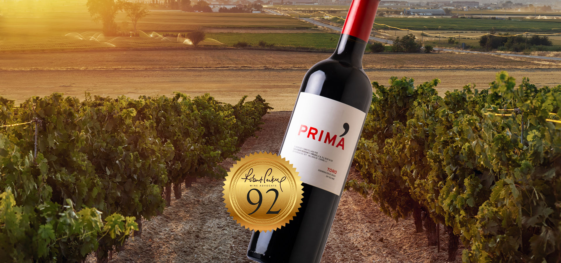 Vino Vintana Wein online kaufen » Top-Marken ✓ große Auswahl ✓