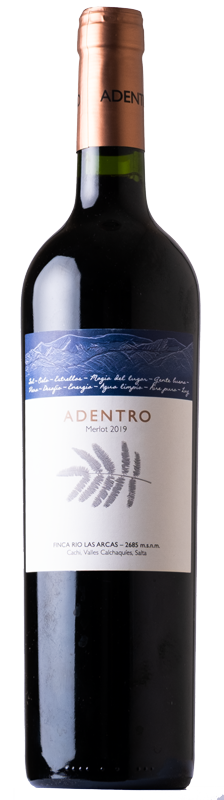 ADENTRO Merlot - Vinos Adentro 2019 - 0.75l  Einführungspreis 