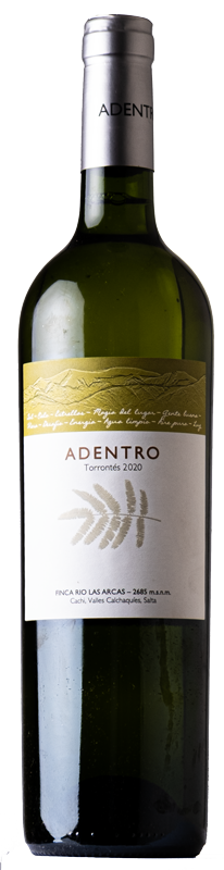 ADENTRO Torrontés - Vinos Adentro 2020 - 0.75l  Einführungspreis