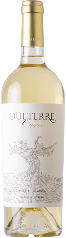 Due Terre Cuvée Chardonnay 2021 - 0.75 L 