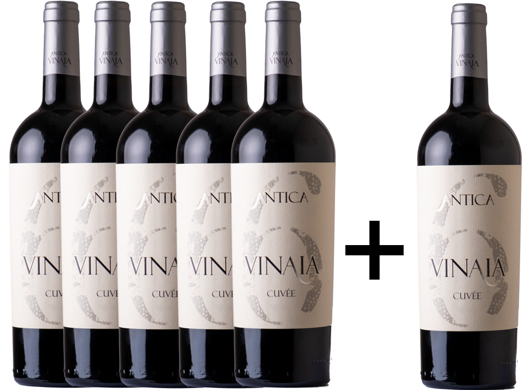 Antica Vinaia Cuvée 2020 - 0.75 - Einführungspreis